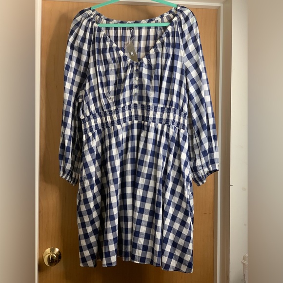 J Crew Blue and White Long Sleeve Gingham Dress. Size-Large - Picture 2 of 4